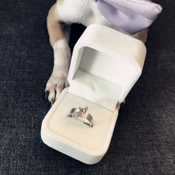 Personalized Pet Ring - Cat Memorial Jewelry Personalized Pet Ring