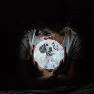 Custom 3D Photo Moon Lamp Night Light Christmas Gift For Daughter From Dad