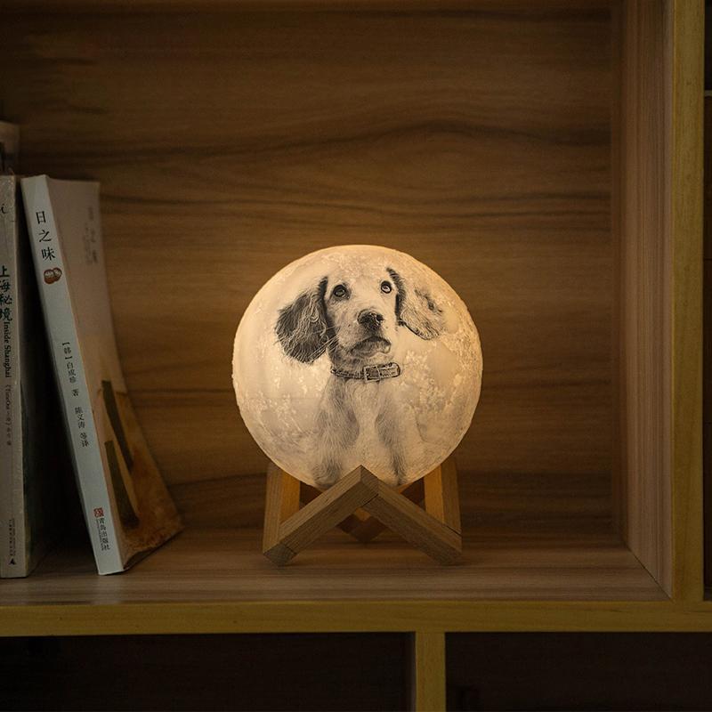 Custom 3D Photo Moon Lamp Night Light Christmas Gift For Daughter From Dad